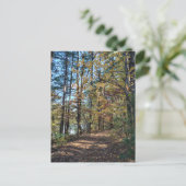 Carte Postale Le chemin de la forêt d'automne (Debout devant)
