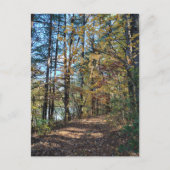 Carte Postale Le chemin de la forêt d'automne (Devant)