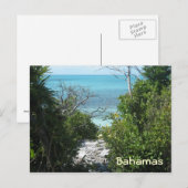 Carte Postale Le chemin de la plage (Devant / Derrière)