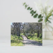 Carte Postale Le chemin moins parcouru... (Debout devant)