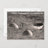 Carte Postale Le Chetzemoka - Fort Worden (Devant / Derrière)