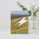 Carte Postale Le cheval (Debout devant)