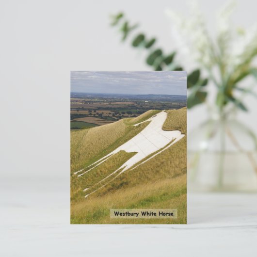 Carte Postale Le cheval (Debout devant)