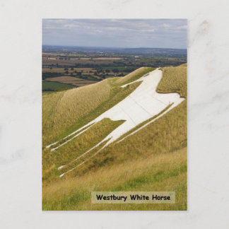 Carte Postale Le cheval