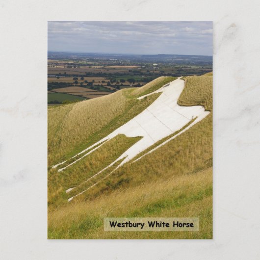 Carte Postale Le cheval (Devant)