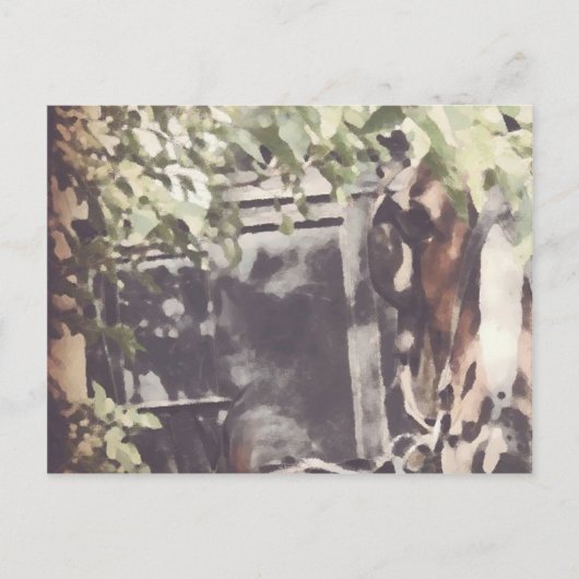 Carte Postale Le Cheval Amish (Devant)