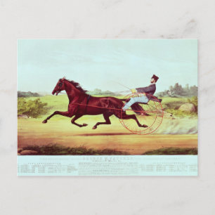 Carte Postale Le Cheval Célébré, George M. Patchen
