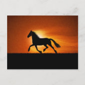 Carte Postale Le Cheval De Course (Devant)