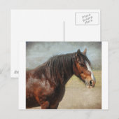 Carte Postale Le cheval de travail (Devant / Derrière)