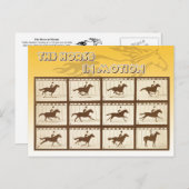 Carte Postale Le cheval en mouvement (Devant / Derrière)