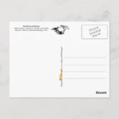 Carte Postale Le cheval en mouvement (Dos)