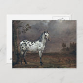 Carte Postale Le Cheval Pie, 1653 (Devant / Derrière)