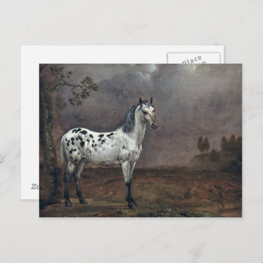 Carte Postale Le Cheval Pie, 1653 (Devant / Derrière)