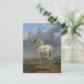 Carte Postale Le Cheval Piebald (Debout devant)