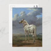 Carte Postale Le Cheval Piebald (Devant / Derrière)