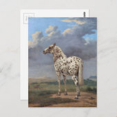 Carte Postale Le Cheval Piebald (Devant / Derrière)