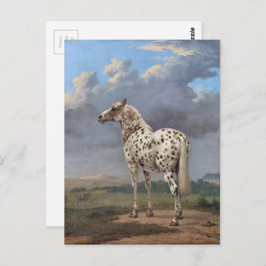 Carte Postale Le Cheval Piebald (Devant / Derrière)