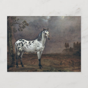 Carte Postale Le Cheval Piebald, 1653