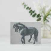 Carte Postale Le cheval sombre (Debout devant)