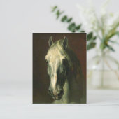 Carte Postale Le cheval Vintage (Debout devant)