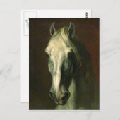 Carte Postale Le cheval Vintage (Devant / Derrière)