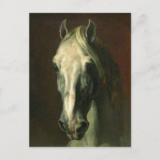 Carte Postale Le cheval Vintage (Devant)