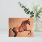 Carte Postale Le cheval Vintage (Debout devant)