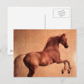 Carte Postale Le cheval Vintage (Devant / Derrière)