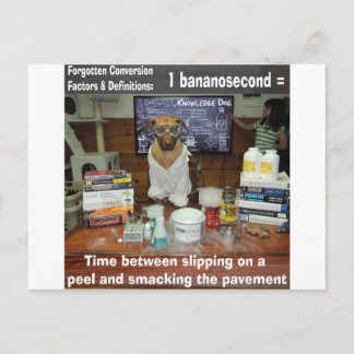 Carte Postale Le chien de la connaissance a oublié les conversio