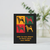 Carte Postale Le chien d'eau portugais intelligent (Debout devant)