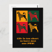 Carte Postale Le chien d'eau portugais intelligent (Devant / Derrière)