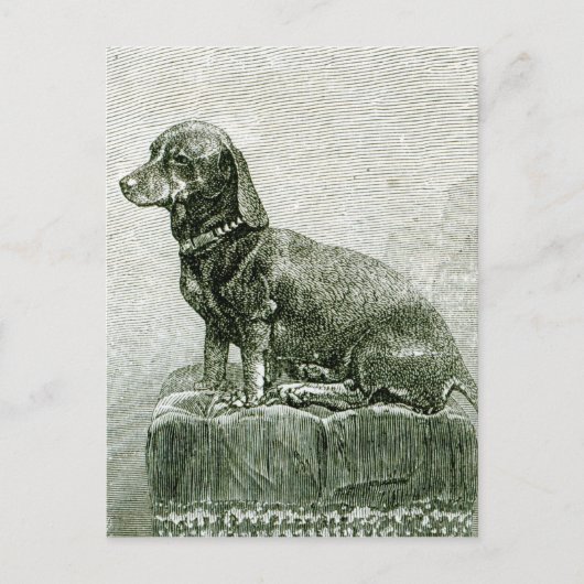 Carte Postale Le chien Jacob (Devant)
