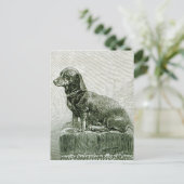 Carte Postale Le chien Jacob (Debout devant)