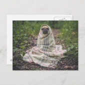 Carte Postale Le chien sent le froid (Devant / Derrière)