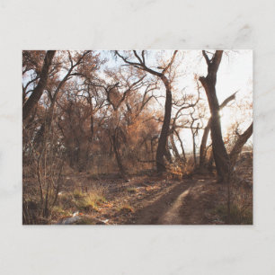 Carte Postale "Le choeur bosniaque"