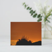 Carte Postale Le ciel orange (Debout devant)