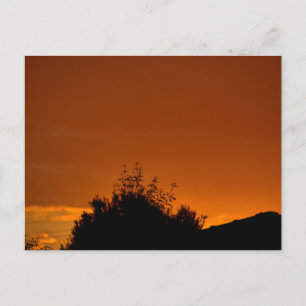 Carte Postale Le ciel orange