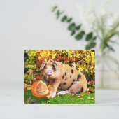 Carte Postale "Le Citrouille de Buffy" (Debout devant)