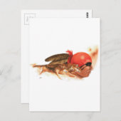 Carte Postale Le clan indien Wolf Cherokee, guerrier indien (Devant / Derrière)