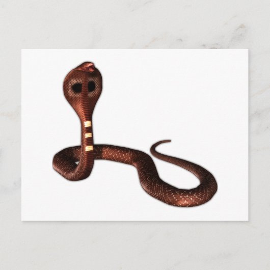 Carte Postale Le Cobra, Serpent Mortel (Devant)