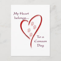 Le Coeur de Chien du Canada appartient
