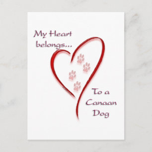 Carte Postale Le Coeur de Chien du Canada appartient