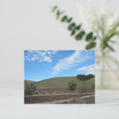 Carte Postale Le coeur du pays de vin de Paso Robles (Debout devant)