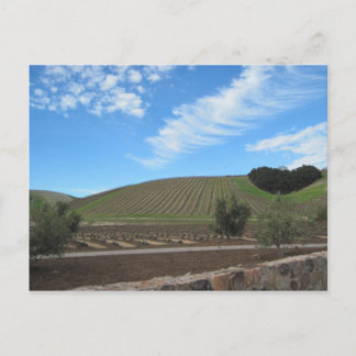 Carte Postale Le coeur du pays de vin de Paso Robles