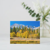 Carte Postale Le col Tioga du Parc national du Yosemite (Debout devant)