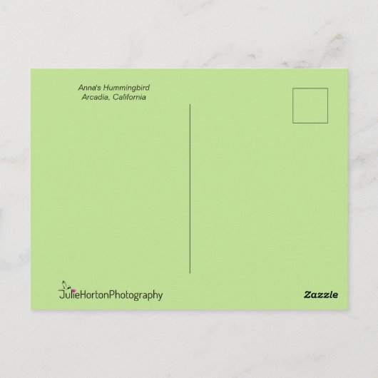 Carte Postale Le colibri d'Anna en vol (Dos)