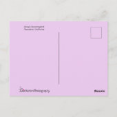 Carte Postale Le colibri d'Anna en vol (Dos)