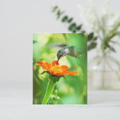 Carte Postale Le Colibri Prend Un Sien (Debout devant)