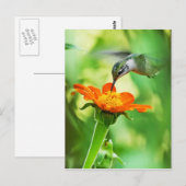 Carte Postale Le Colibri Prend Un Sien (Devant / Derrière)