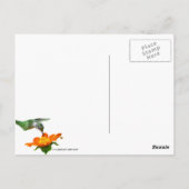 Carte Postale Le Colibri Prend Un Sien (Dos)
